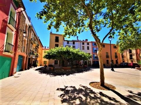 Studio 07 Argeles Sur Mer . La Plage A Pied, L'Espagne A 30 Mn Zewnętrze zdjęcie