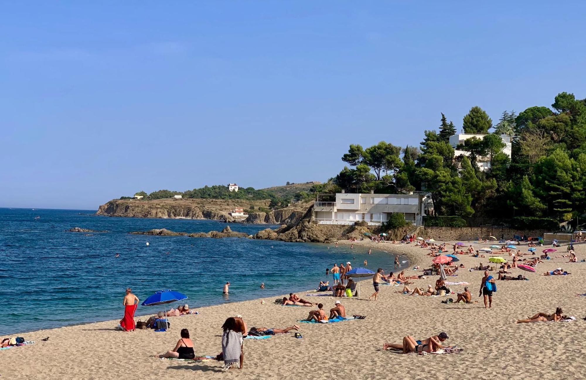 Studio 07 Argeles Sur Mer . La Plage A Pied, L'Espagne A 30 Mn Zewnętrze zdjęcie